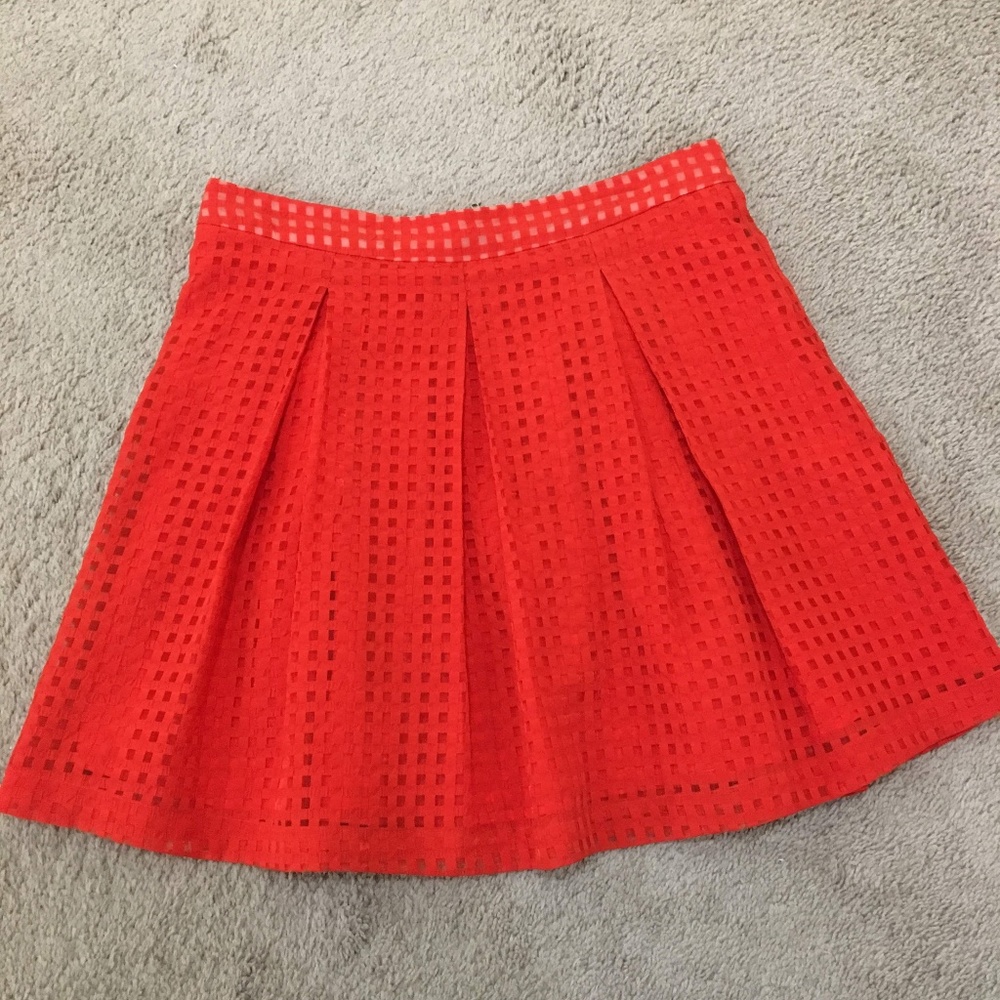 Skater Skirt